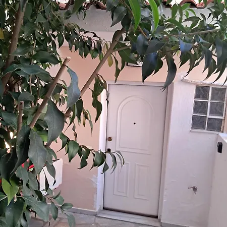 Nikoleta Summer Glow