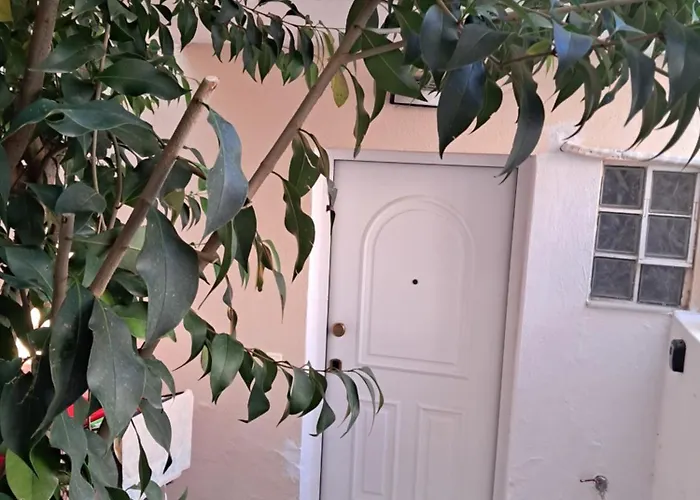 Nikoleta Summer Glow